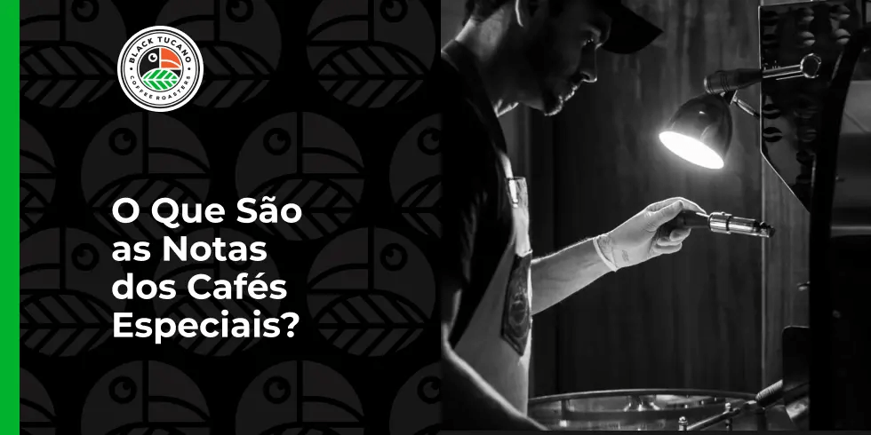 O Que são as Notas dos Cafés Especiais?