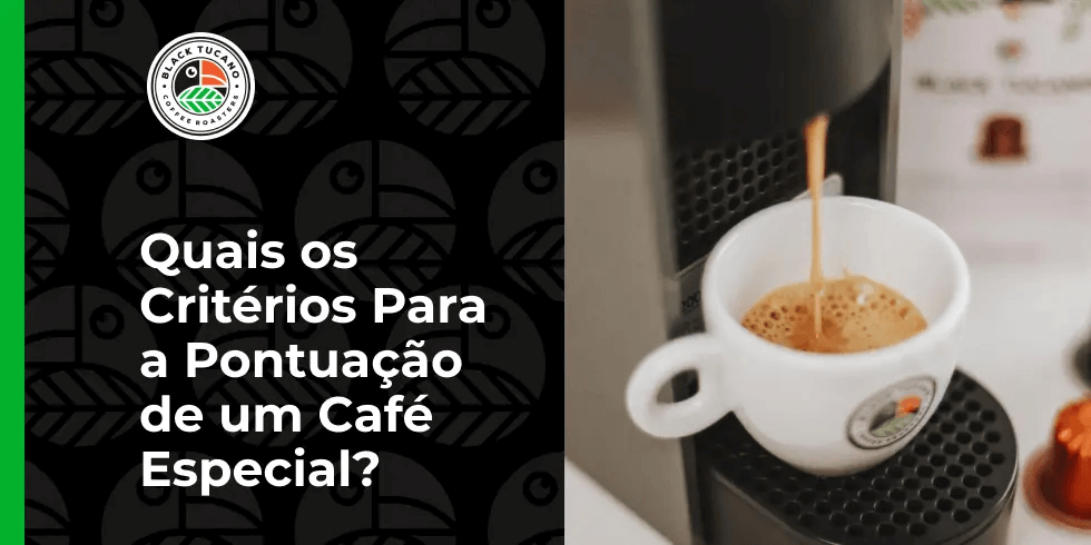 Quais os Critérios para a Pontuação de um Café Especial?