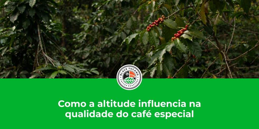 Como a altitude influencia na qualidade do café especial