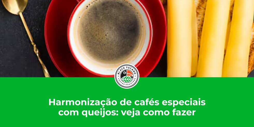 Harmonização De Cafés Especiais Com Queijos: Veja Como Fazer