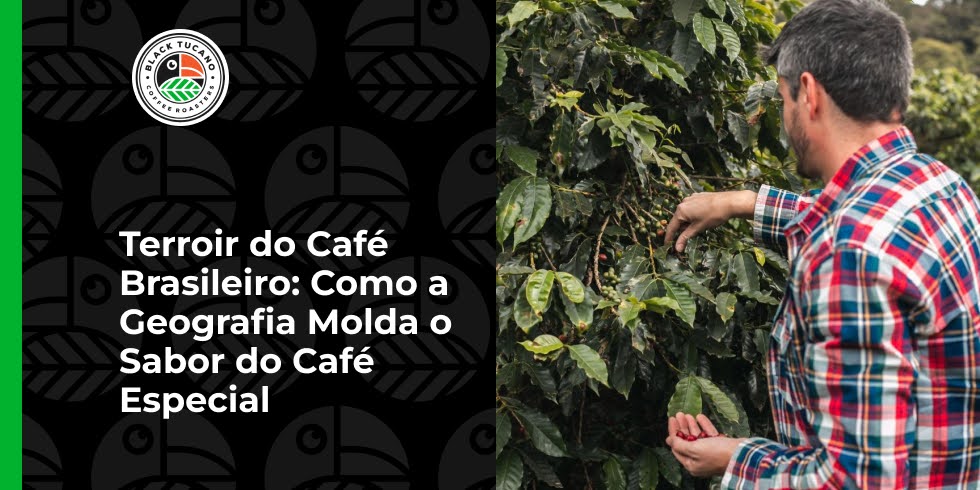 Terroir do Café Brasileiro: Como a Geografia Molda o Sabor do Café Especial